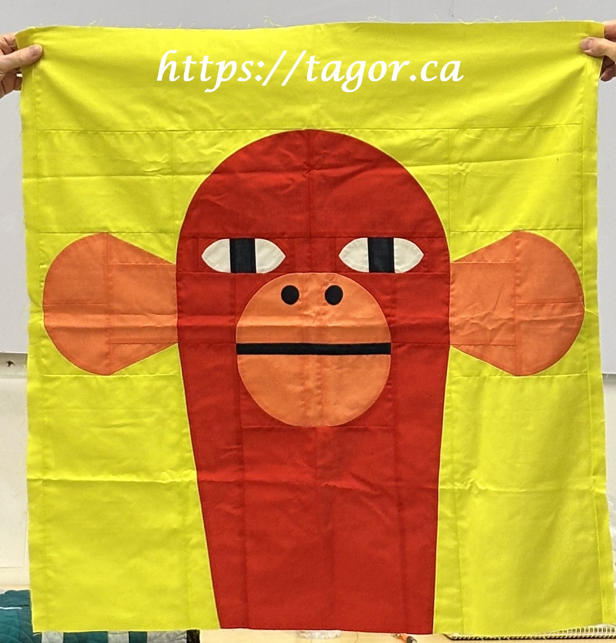 Nicole was pattern testing and this monkey was a fun result.